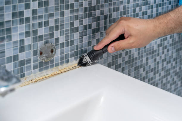 Best Black Mold Removal  in Stamps, AR